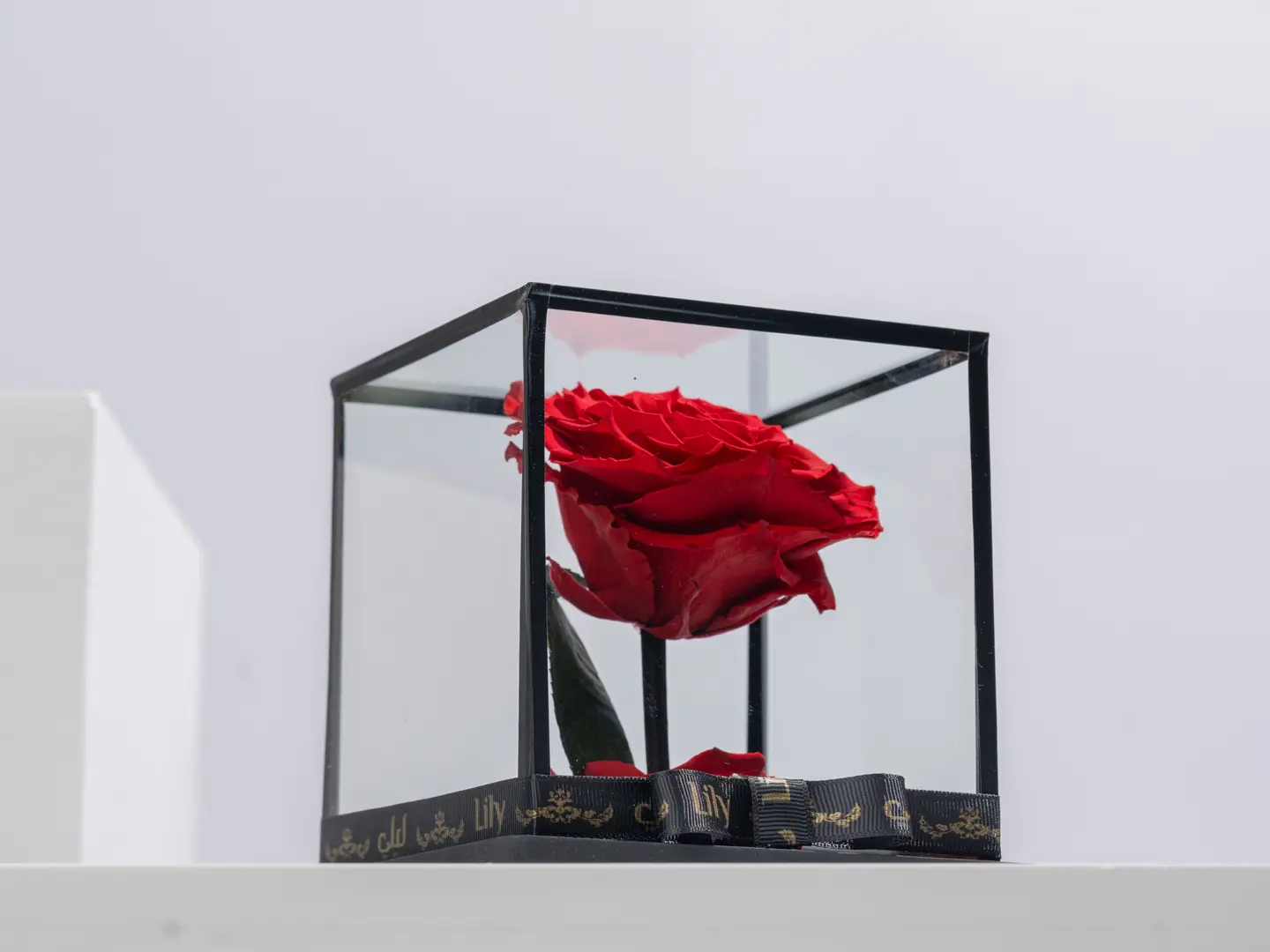 ورد دائم باللون الأحمر