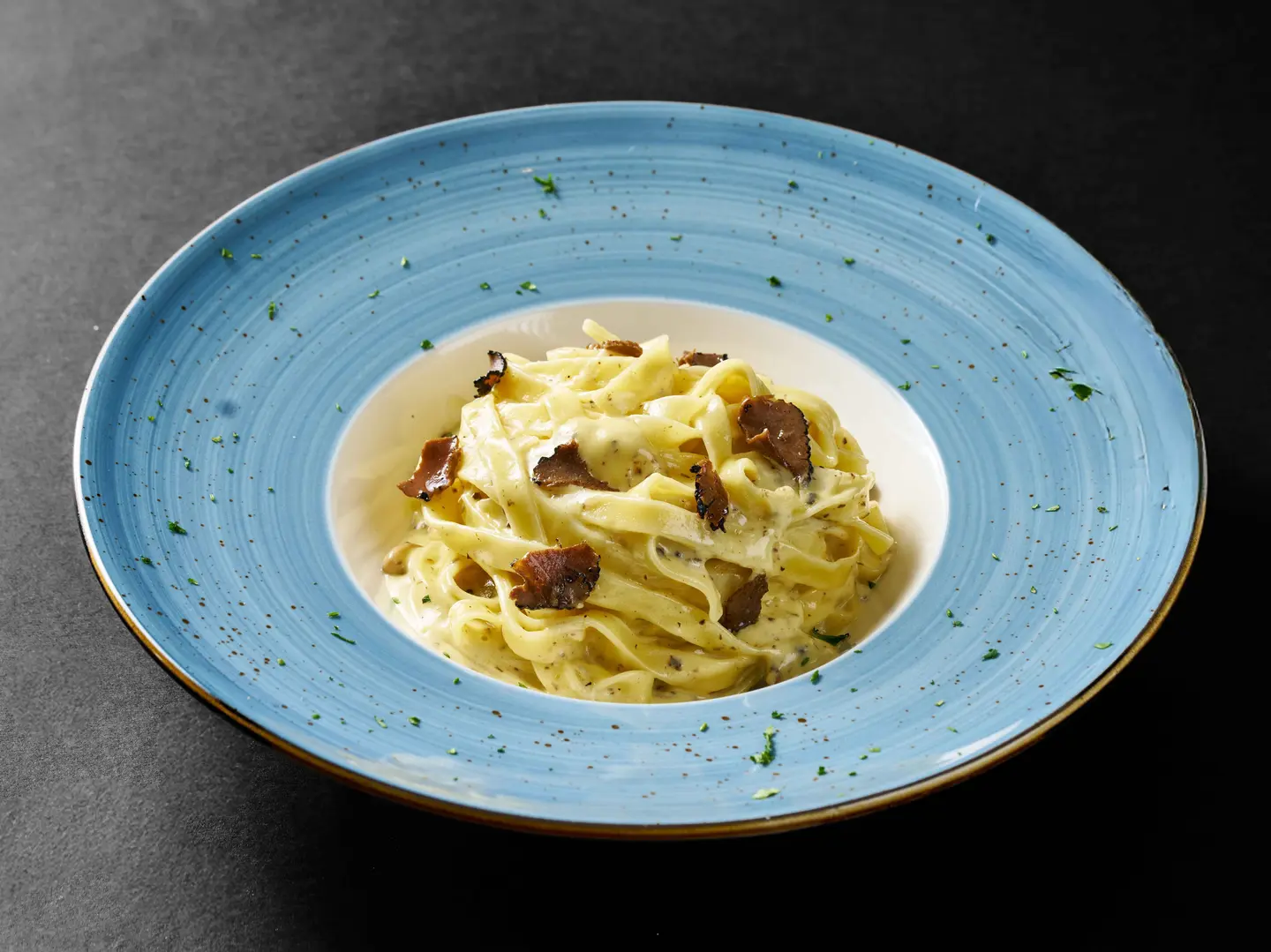 فيتوشيني ترافل