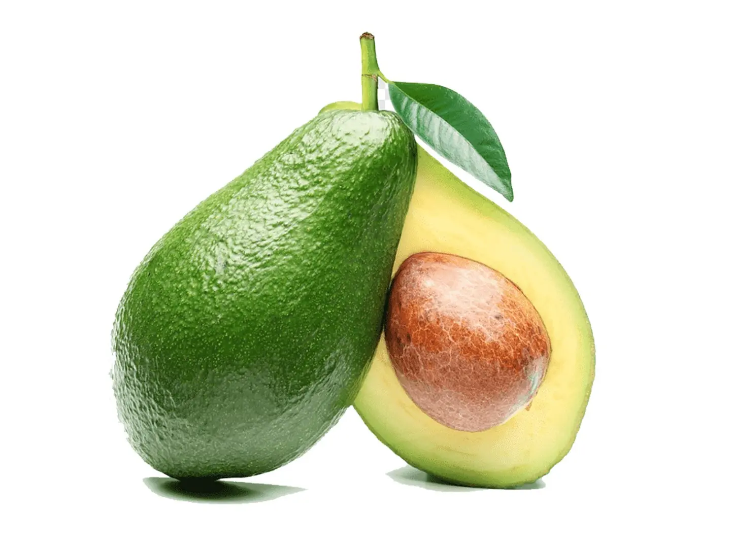 جالون افوكادو