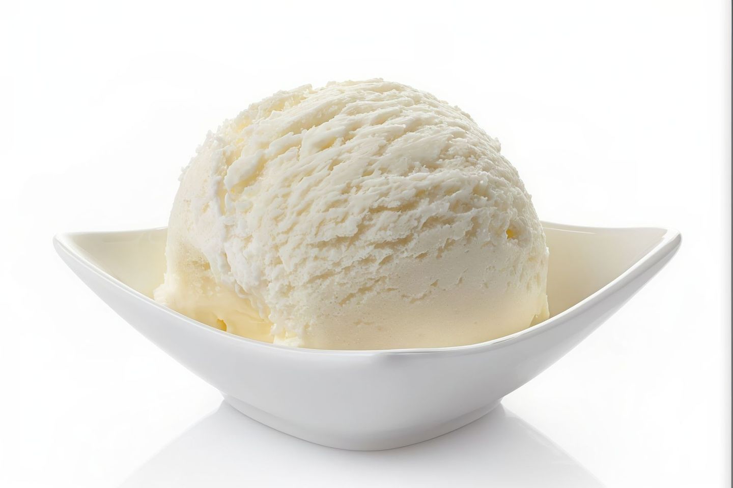 Vanilla - Large