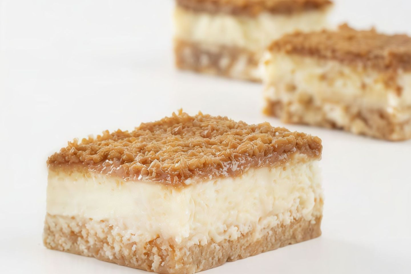 Cheese Lotus - Medium