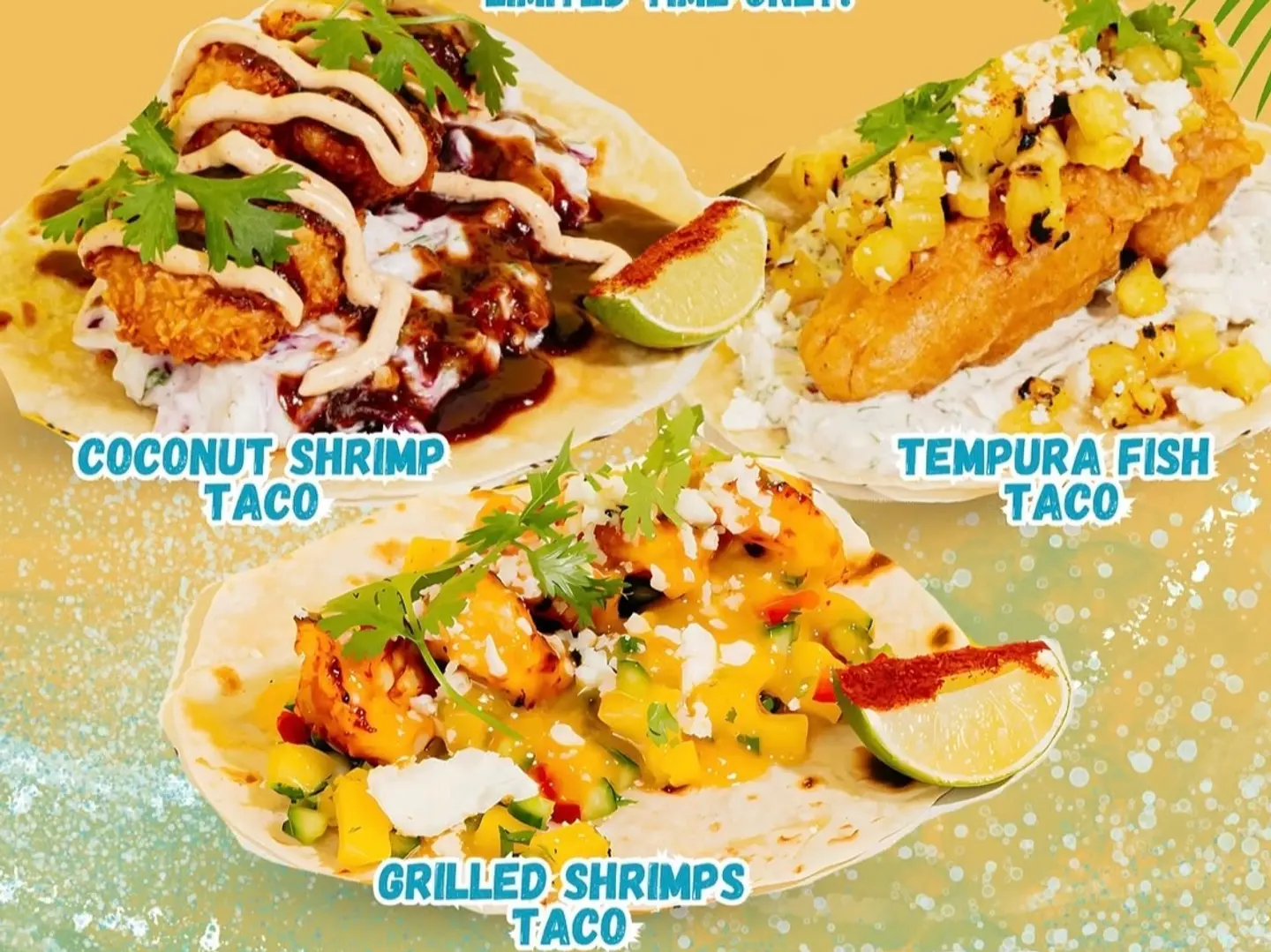 Summer Offer