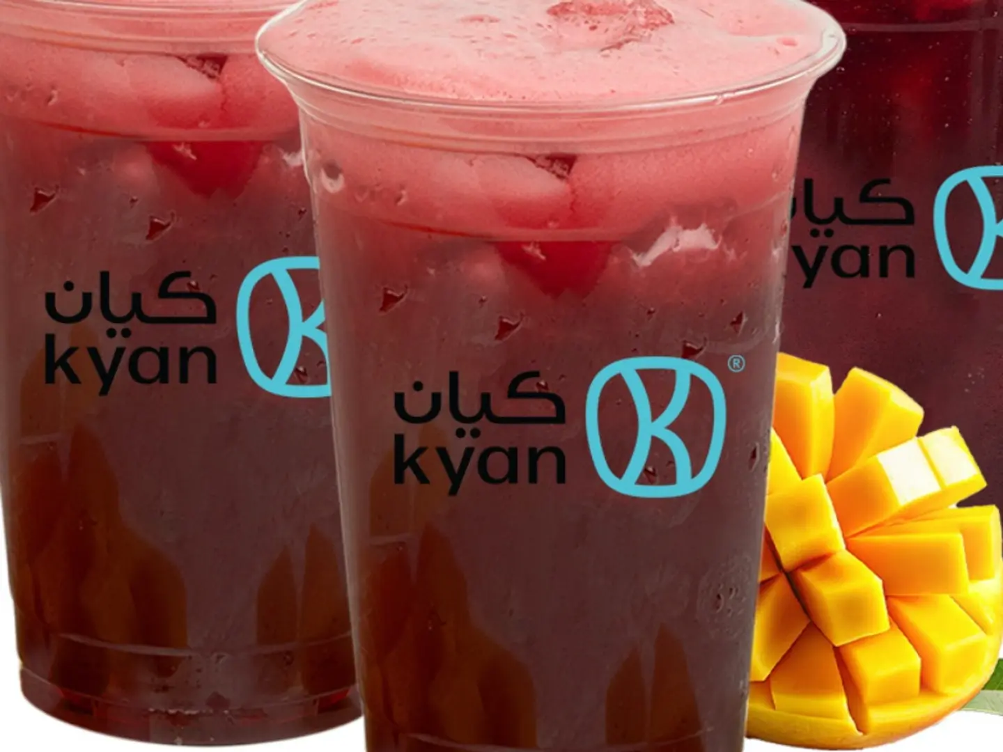 كركديه عادي 2 و كركديه مانجو 2