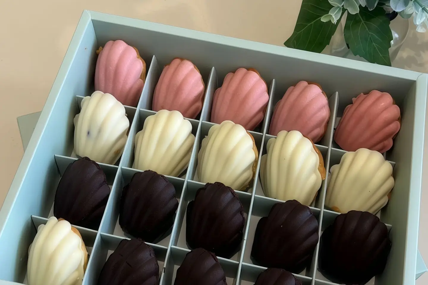 بوكس المادلين ٢٠ قطعه