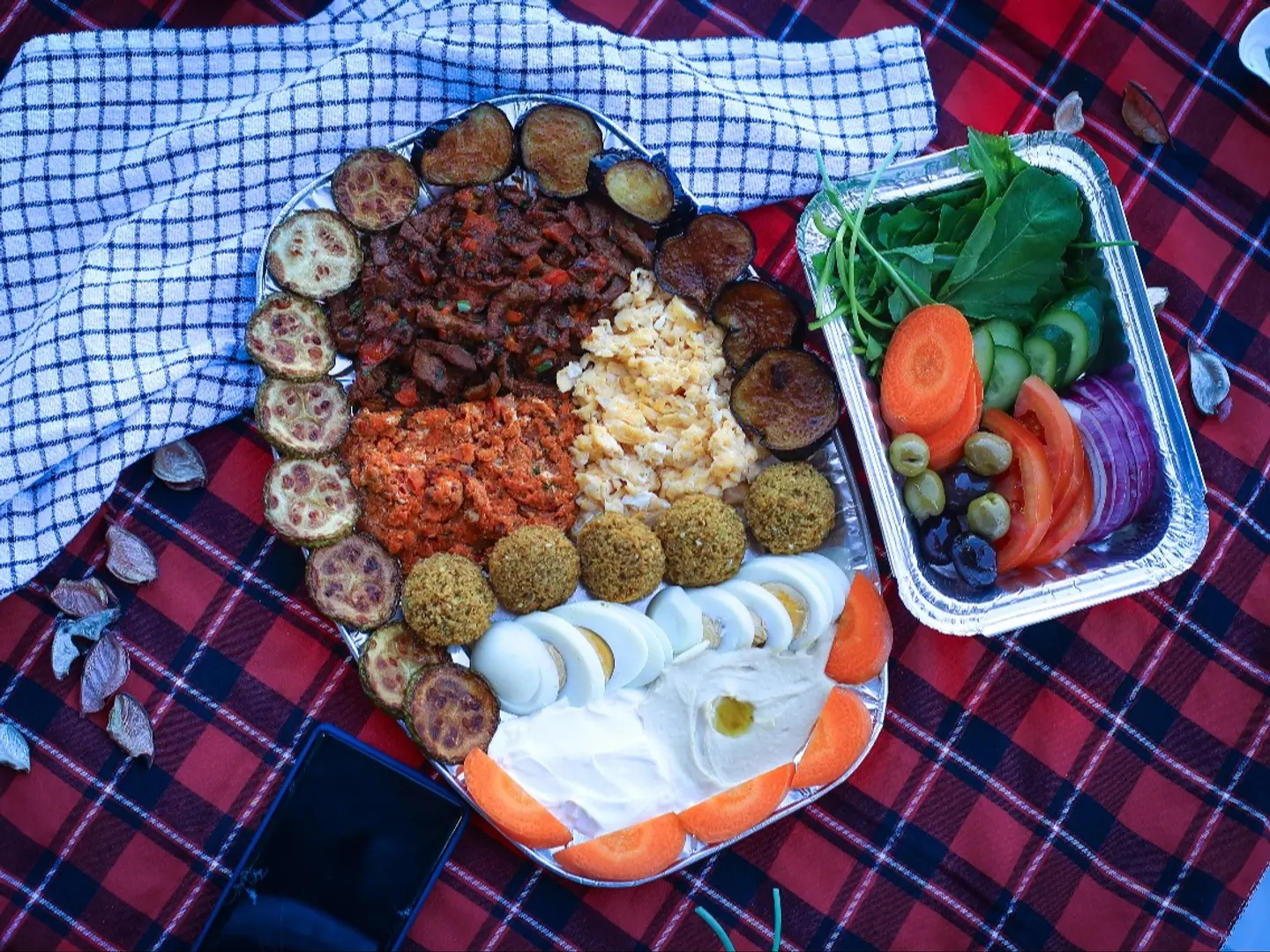 فطور روشن بلس
