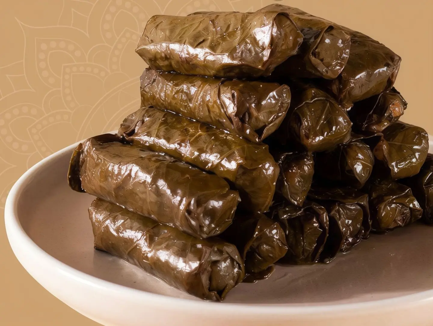 Grape Leaves Small Plate   Spicy 11piasse