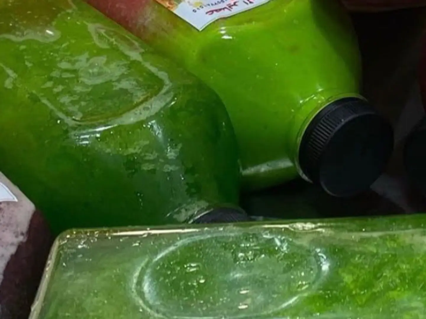 جالون ليمون نعناع