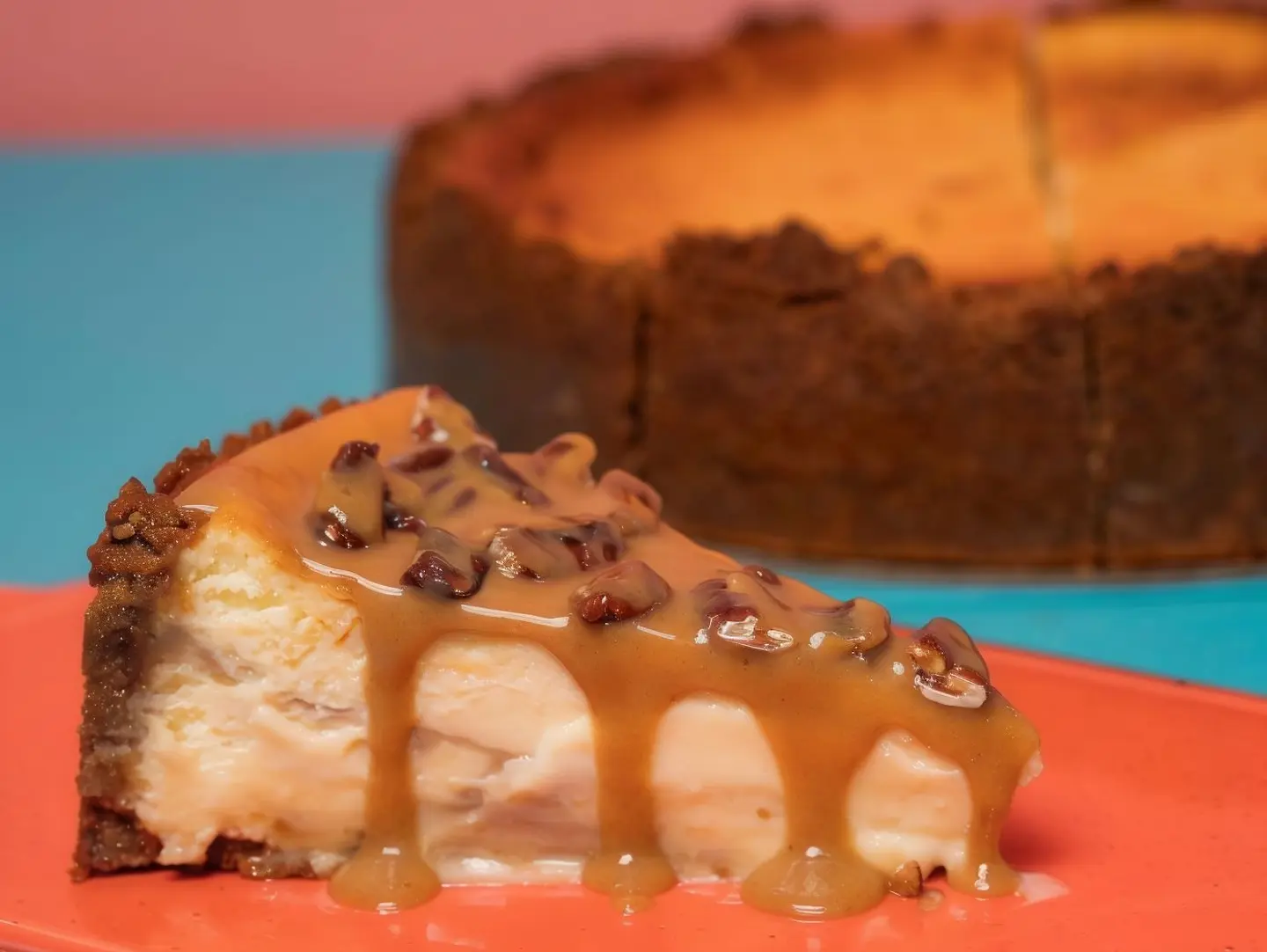Pecan Cheesecake - Pecan Cheesecake, One Slice