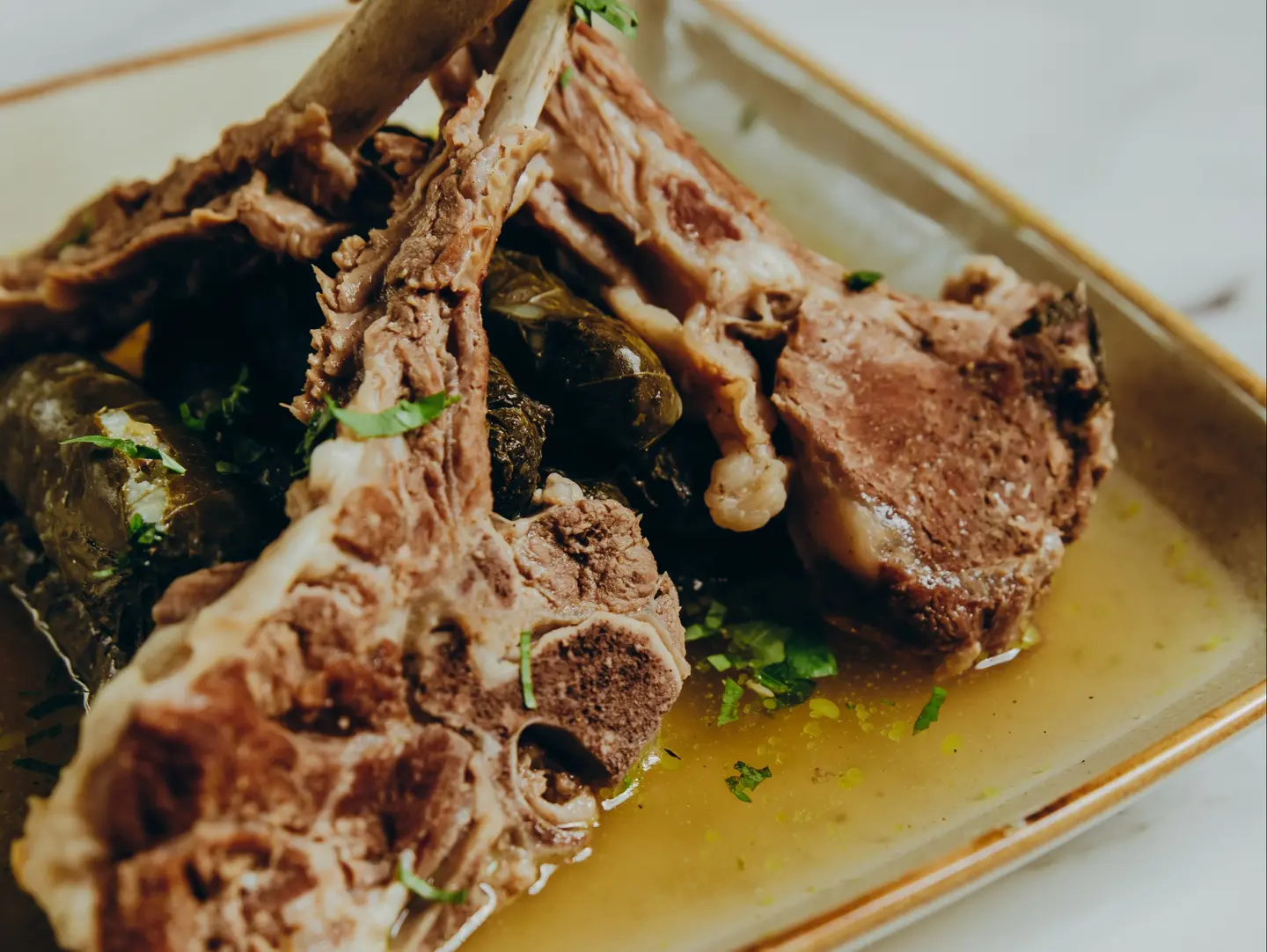 ورق عنب مع الريش