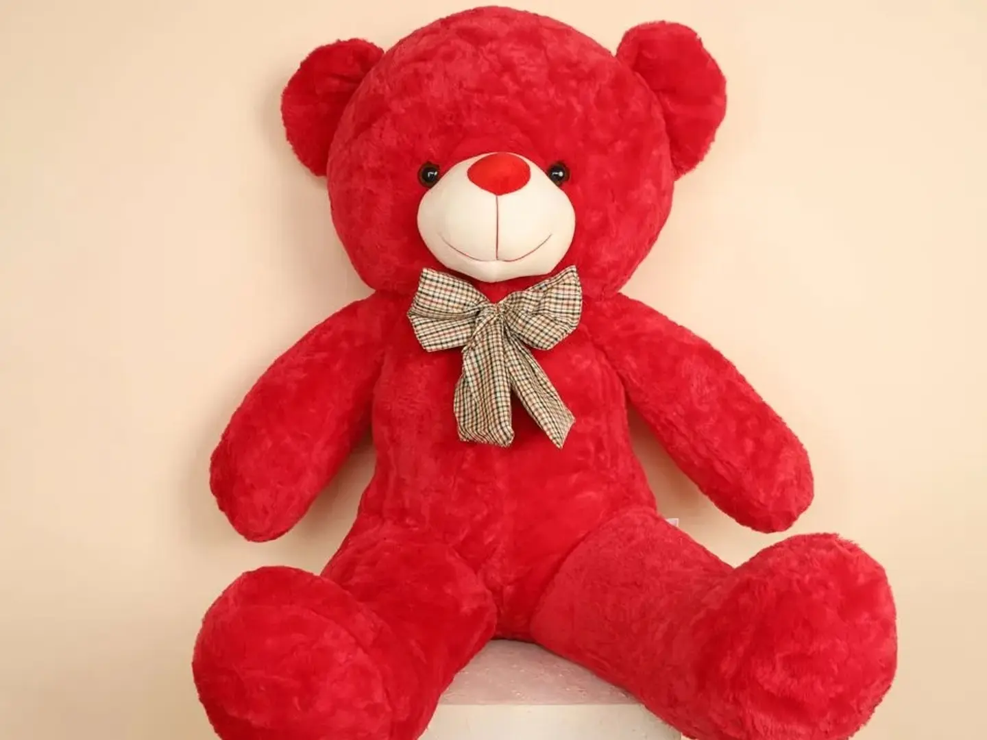 دب كبير احمر