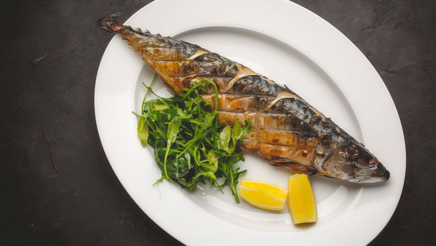 Mackerel - Singary
