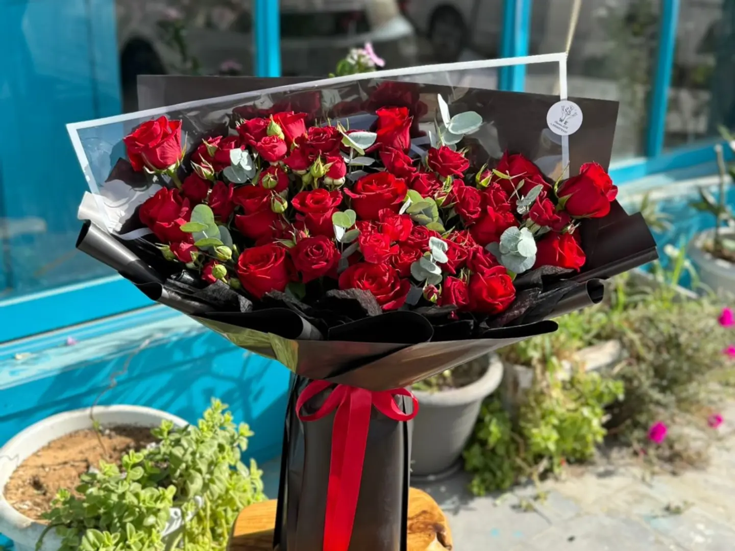 باقه احمر كلاسك واقفه 2