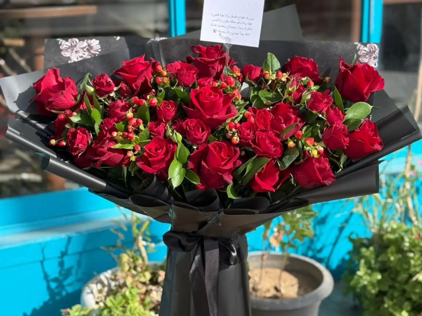 باقه احمر واقفه 5