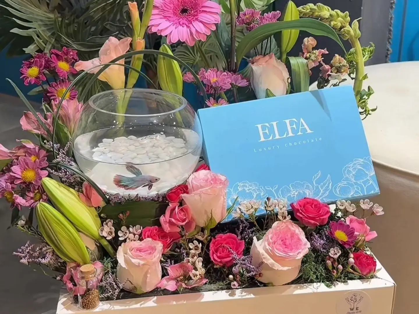 بوكس سمك الفايتر وشوكلت بلجيكي فاخر1