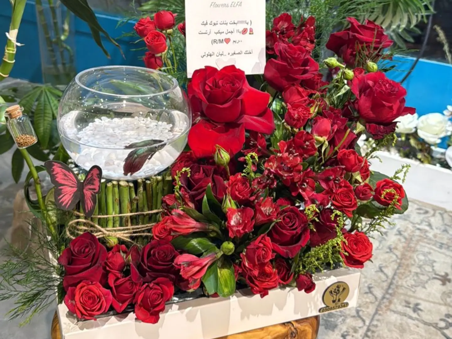 بوكس الفايتر سمك ورد احمر