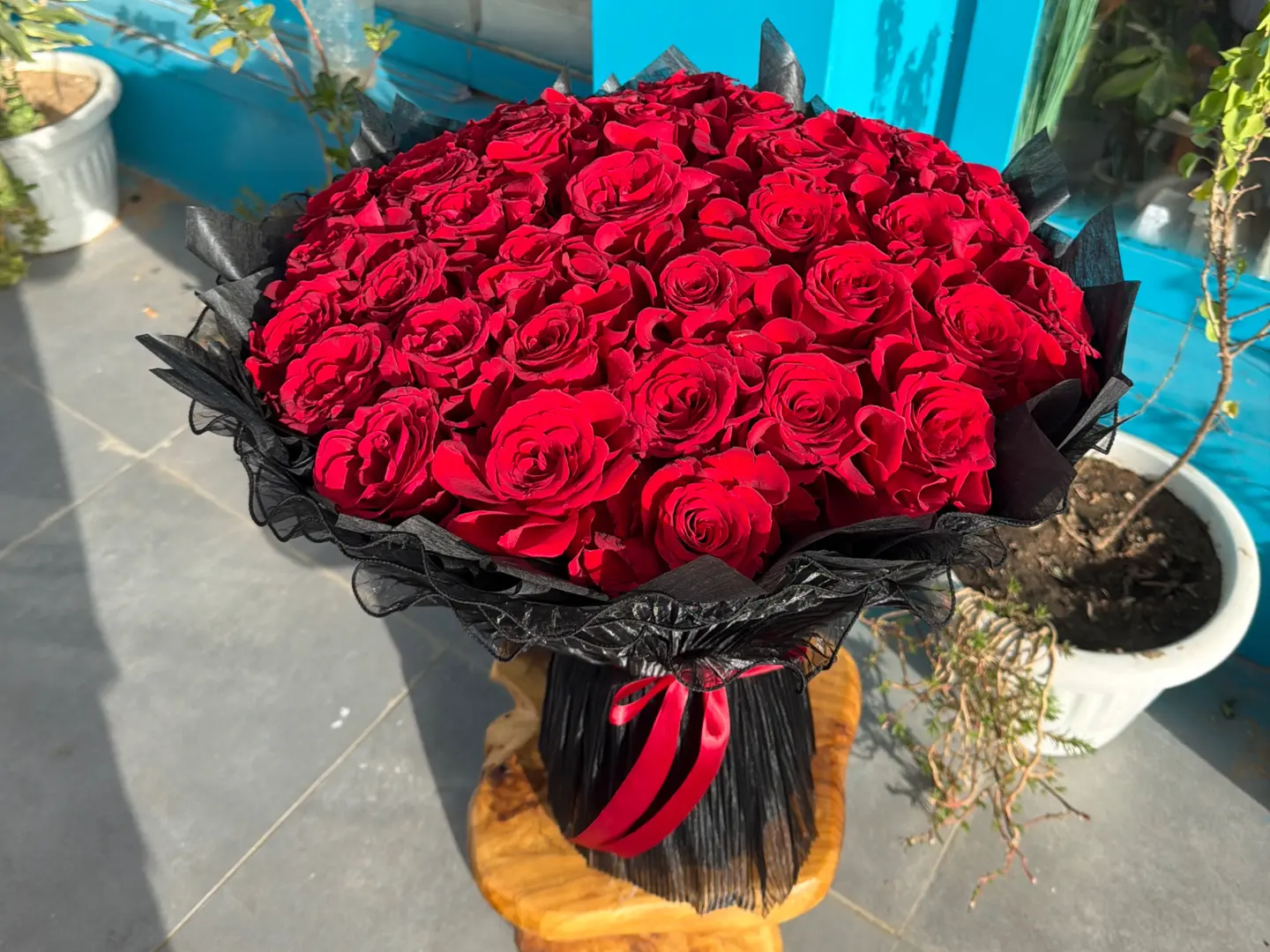 باقه مخمليه احمر