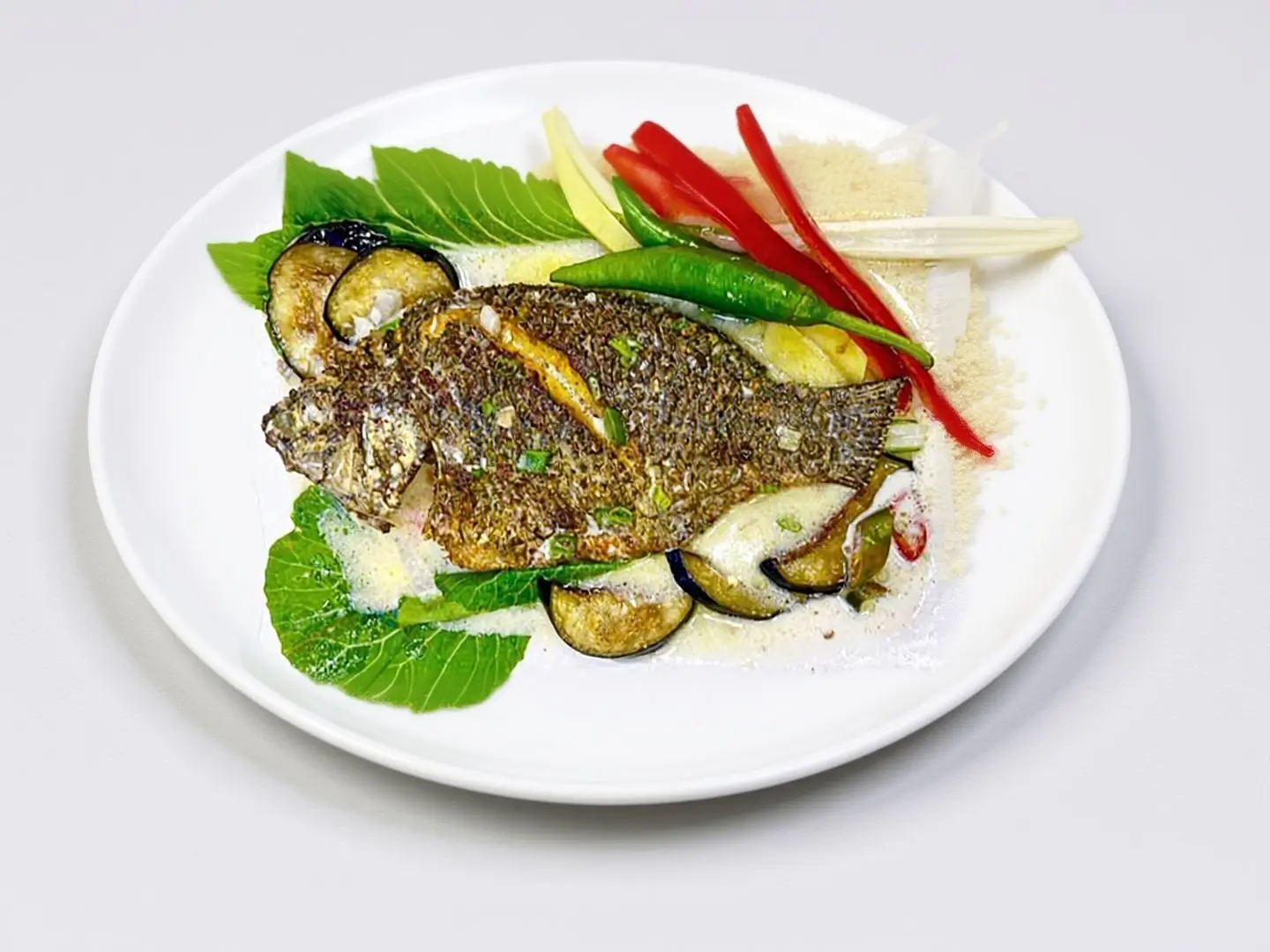 البلطي جوز الهند