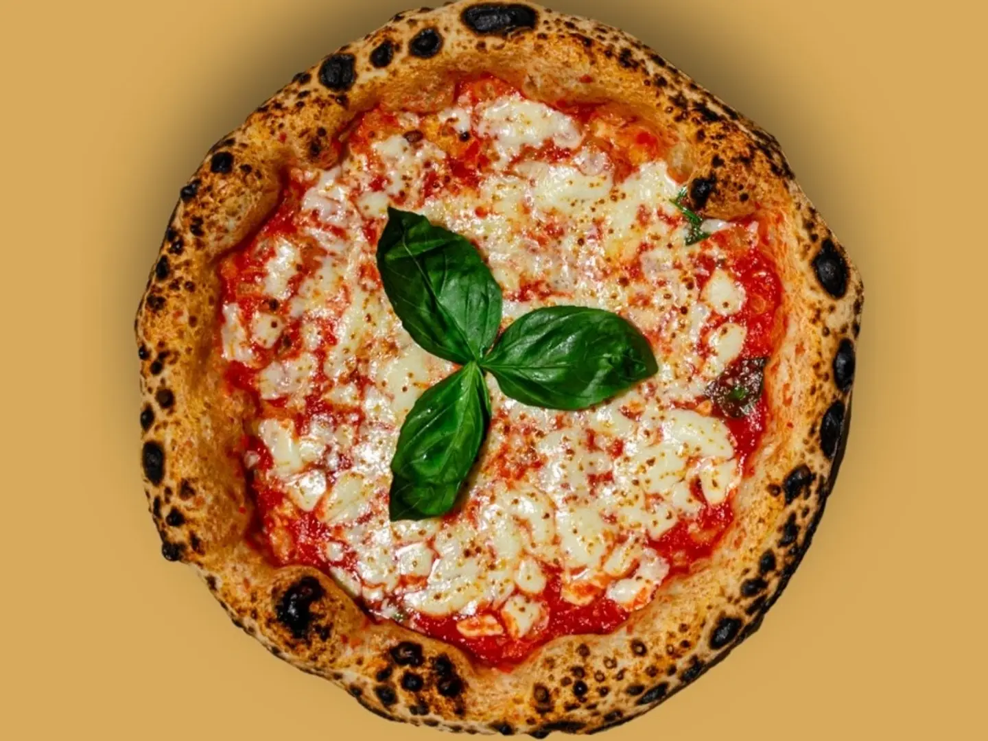 Large Margherita Pizza