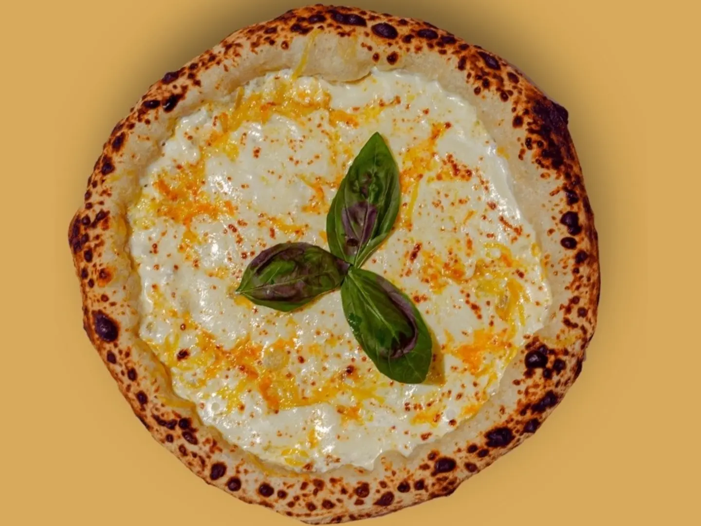 Four Cheese Pizza Medium