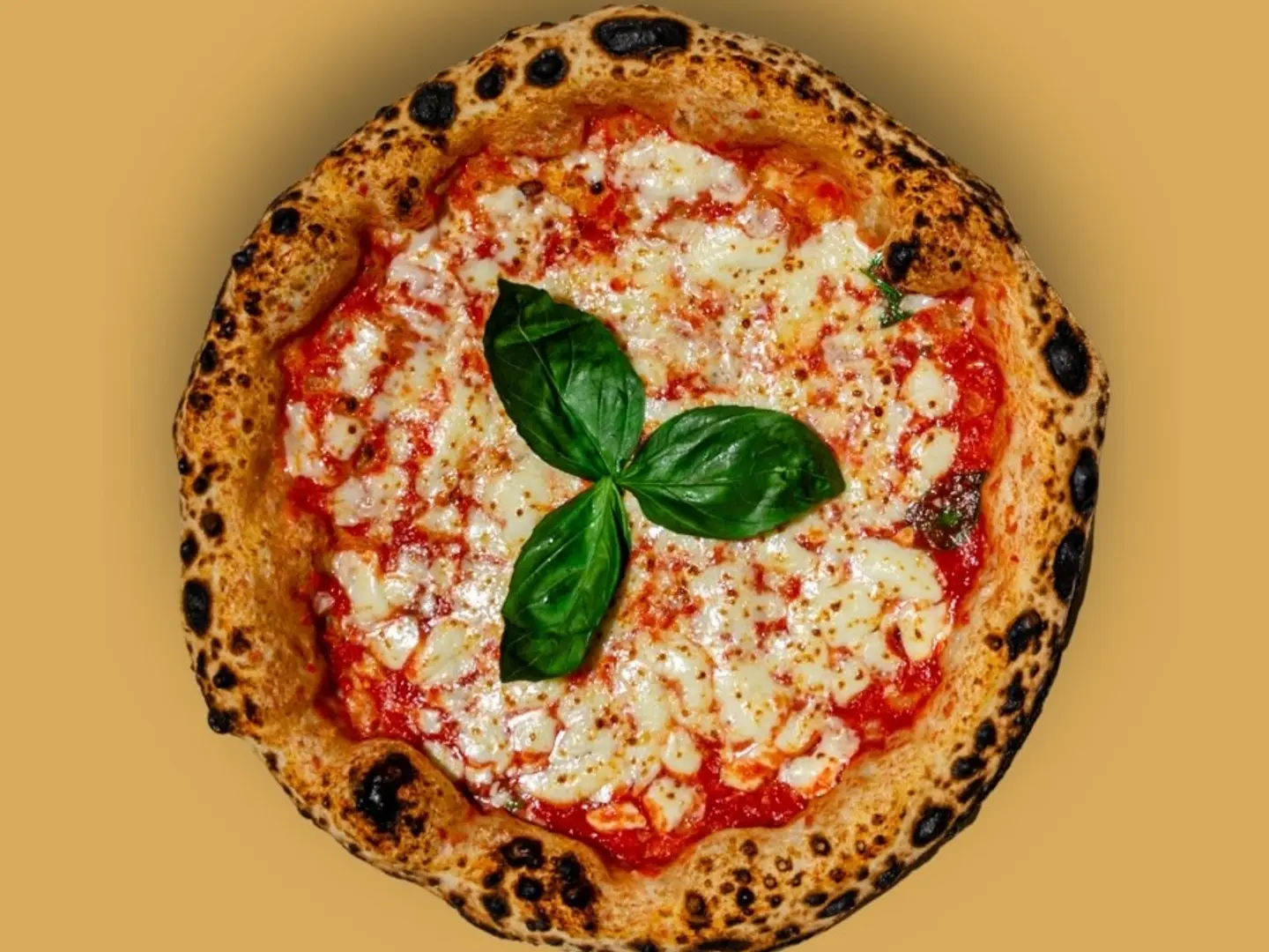 بيتزا مارغريتا كبير