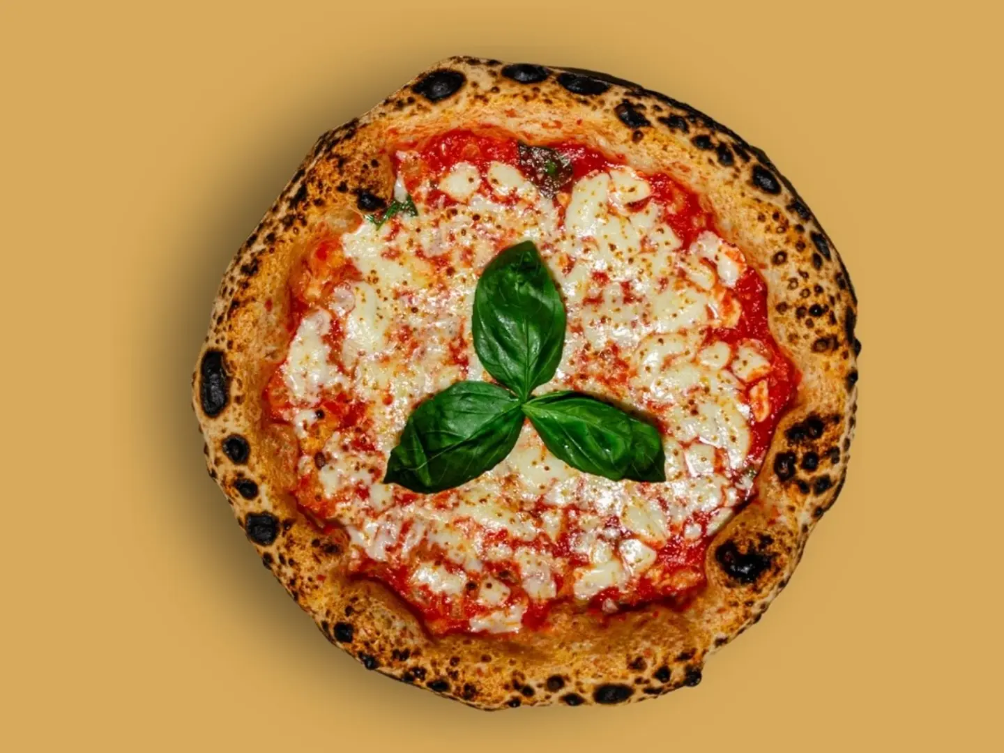 Medium Margherita Pizza