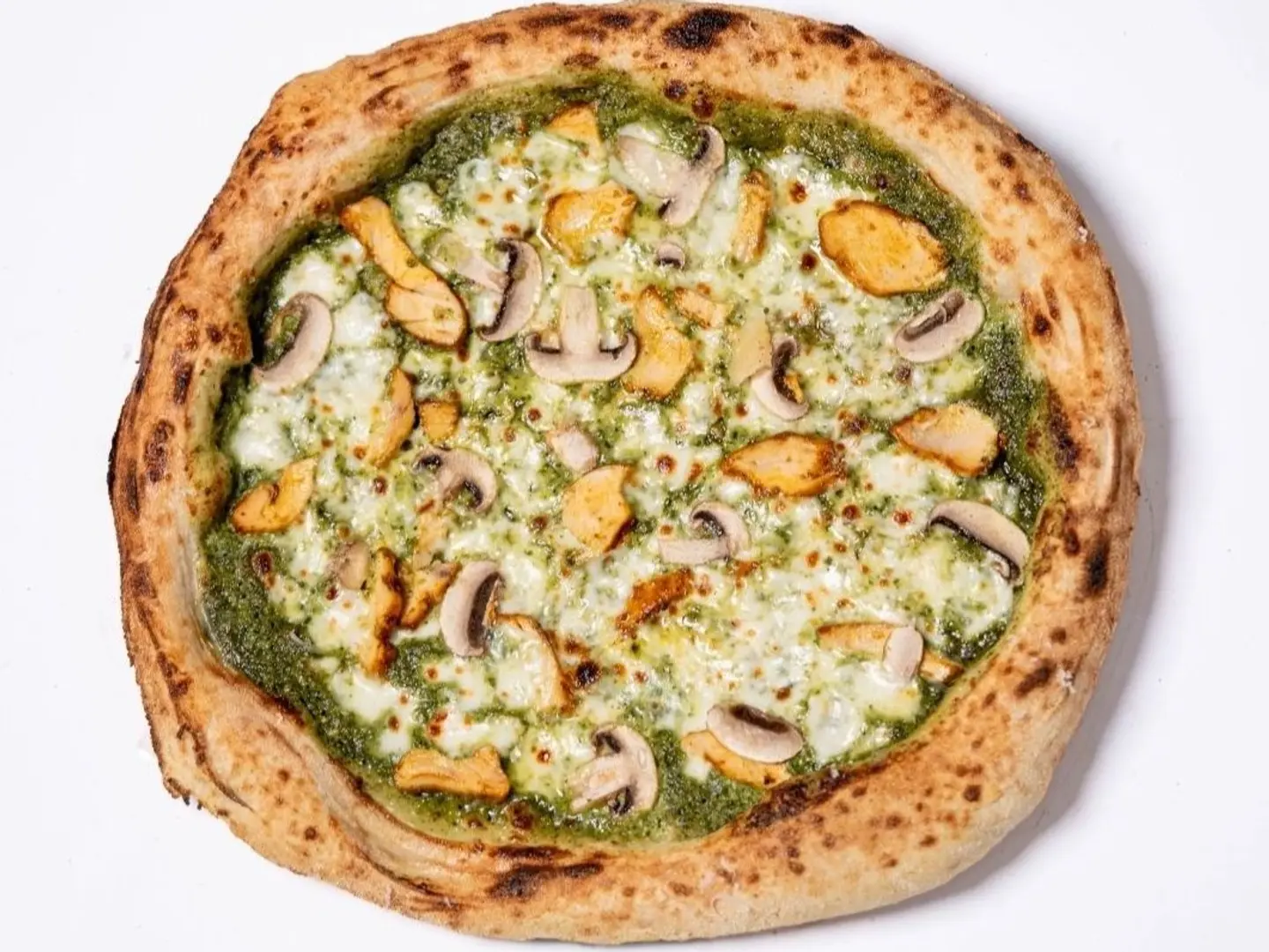 بيستو الدجاج - وسط