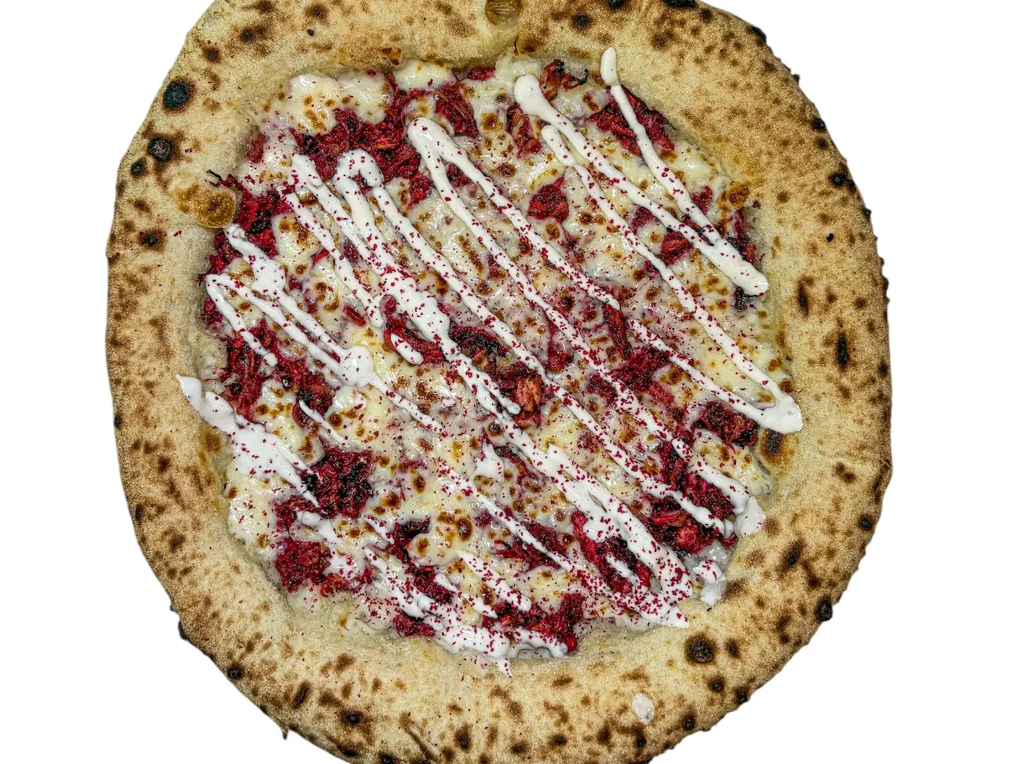 مسخّن الدجاج