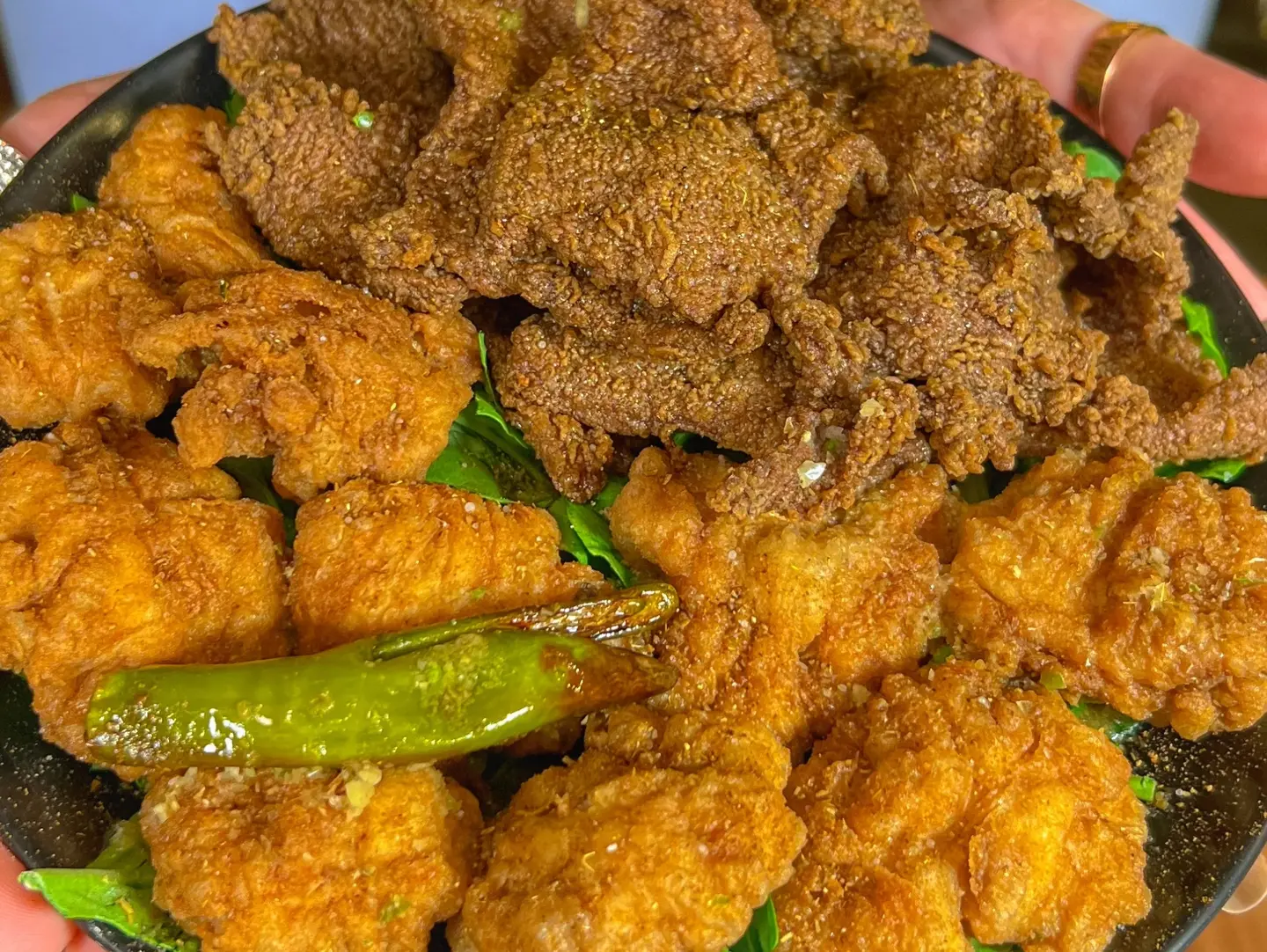 طاسة مكس بانية