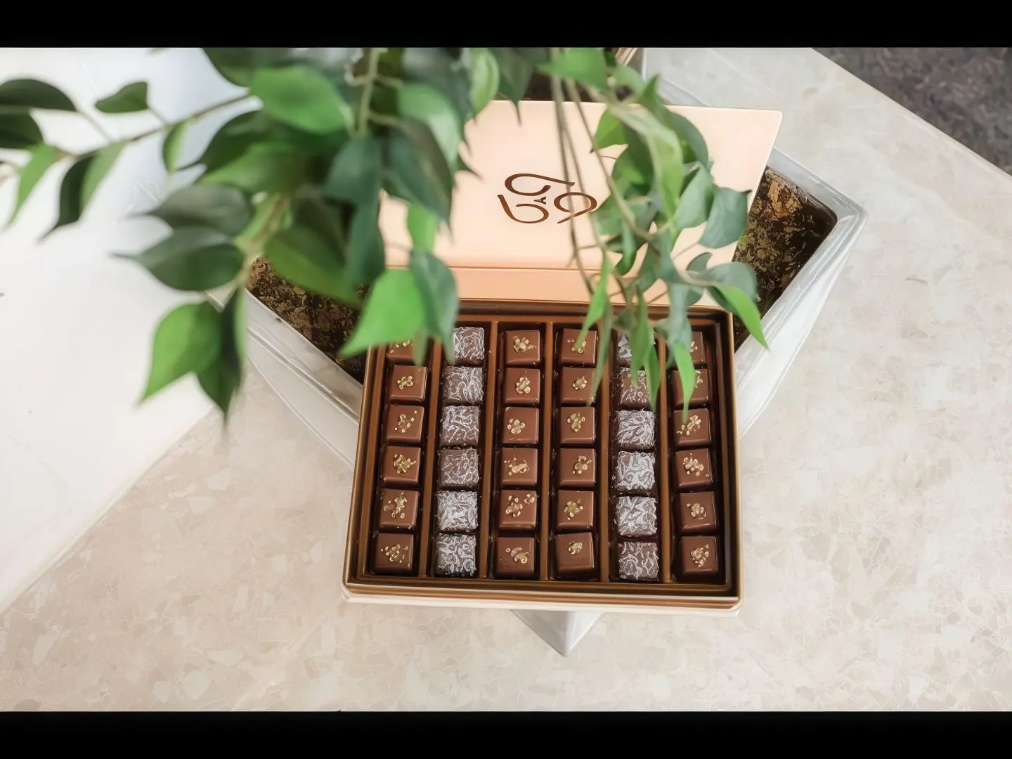 شوكولاتة بايتس