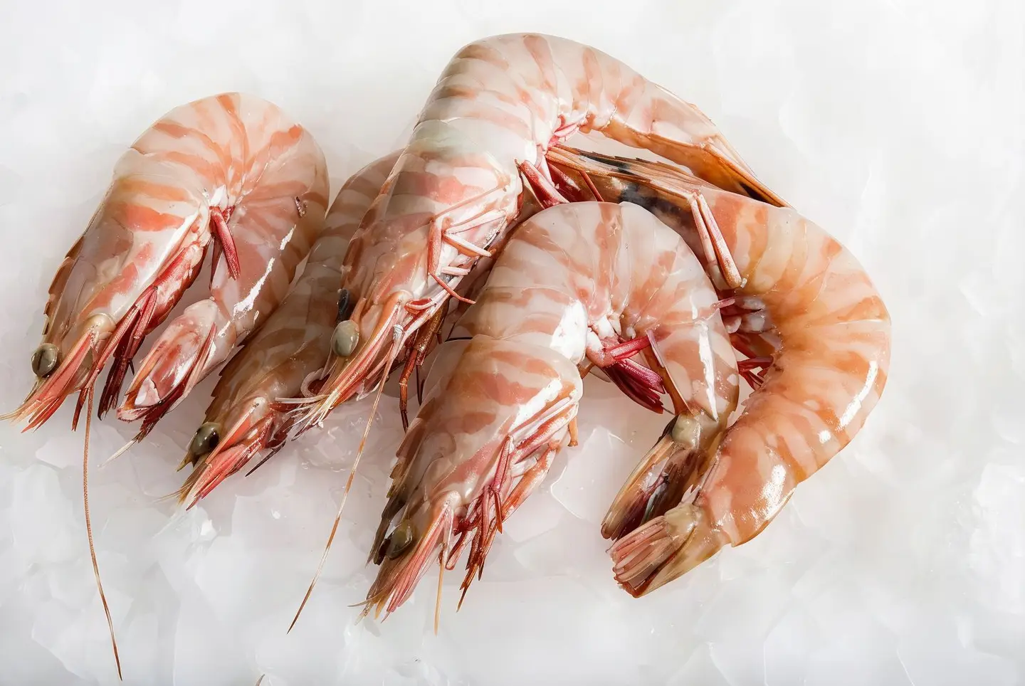 Jumbo Shrimp - Half A Kilo