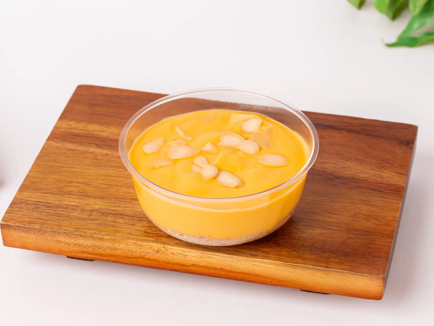 فانيلا كاسترد