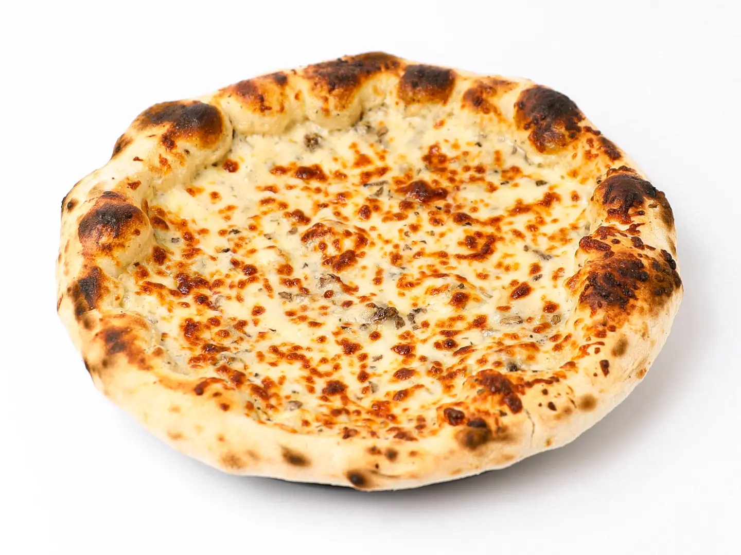 بيتزا ترافل