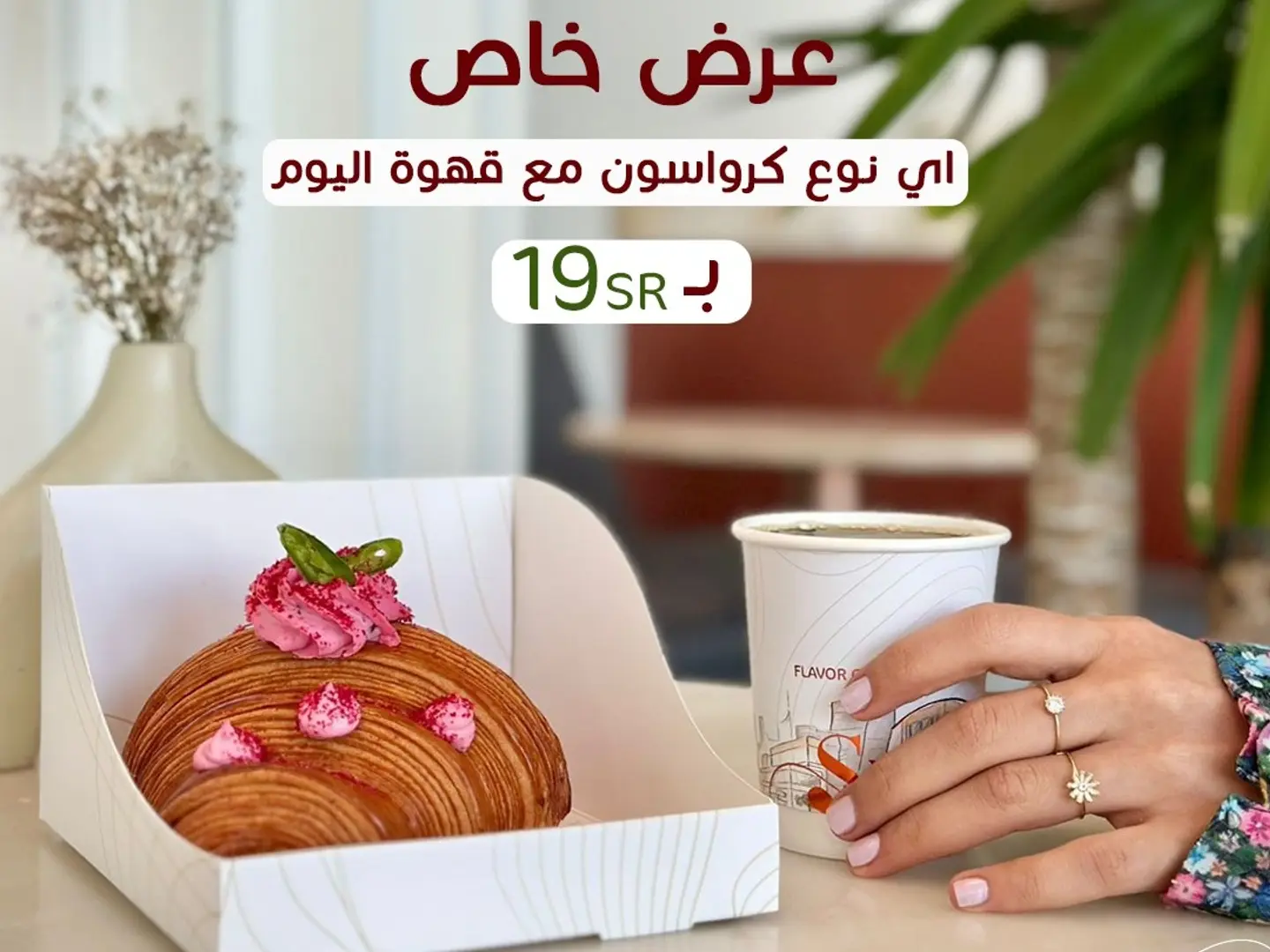 Special Offer
