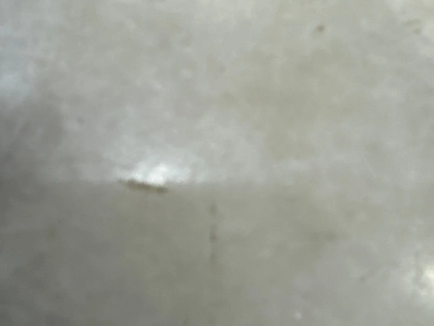 فول جره مشكل وسط