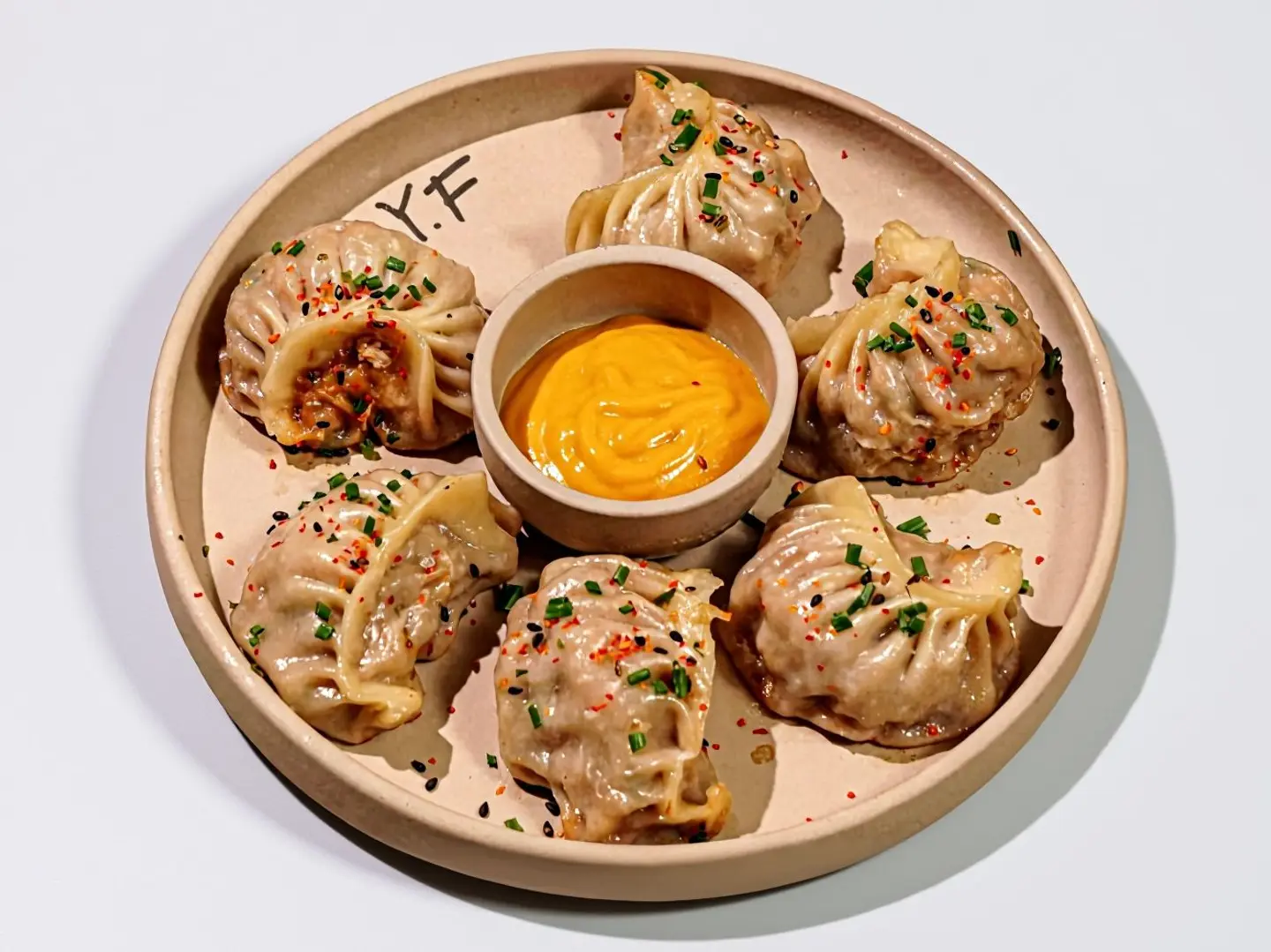 Chicken Dumplings