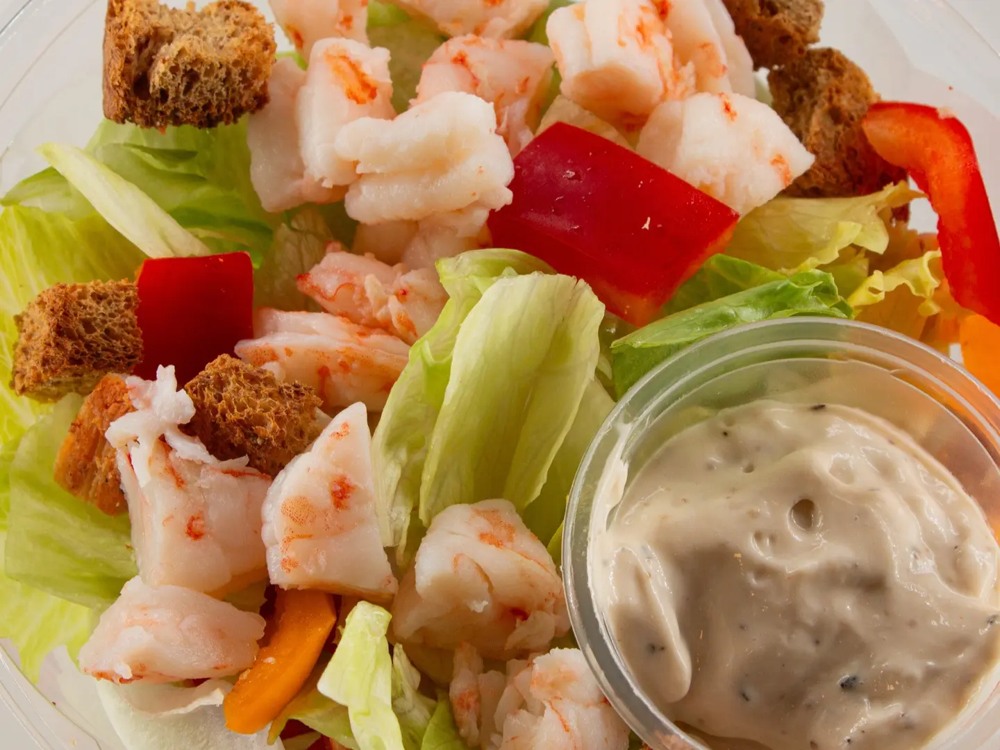 سلطه سیزر جمبري