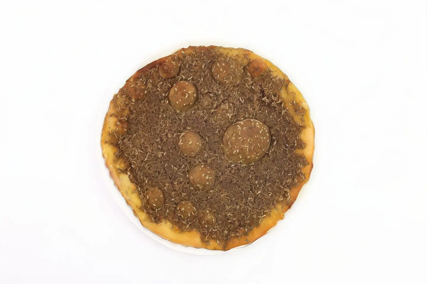 زعتر سادة