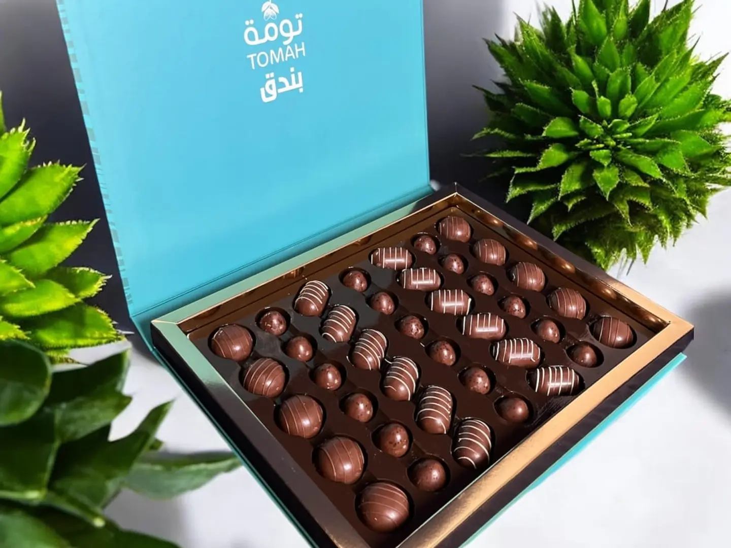 Rectangular Hazelnuts With A Premium Bag