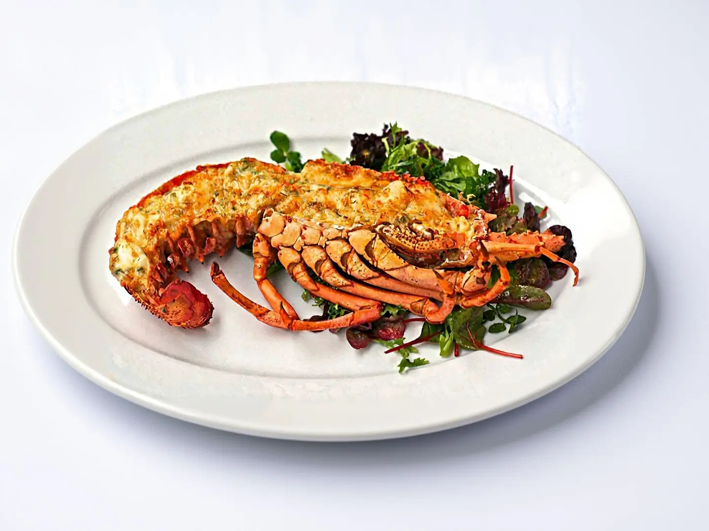 إستاكوزا طازجة