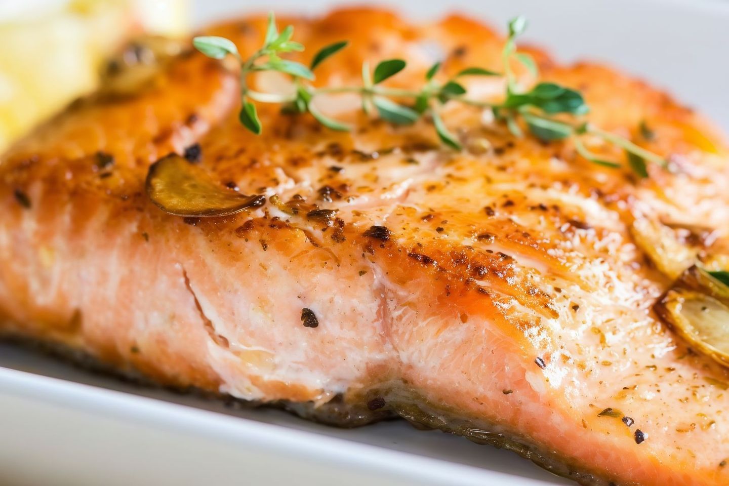 Salmon With Rice