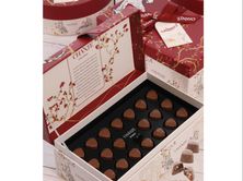 شانتي سوليتيرز