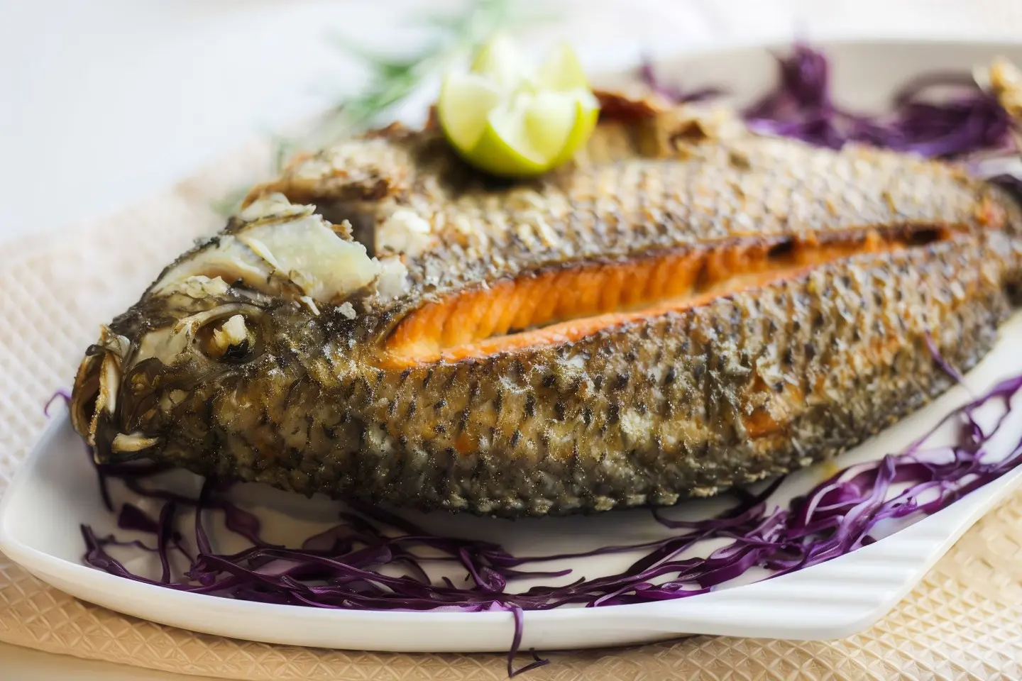 Grilled Denis Fish