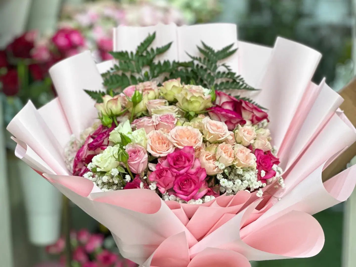 Pink Baby Rose Colorful Pink Packaging