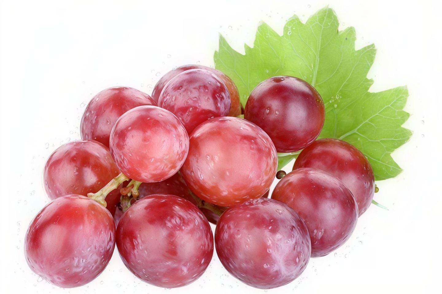 قطع عنب طازج