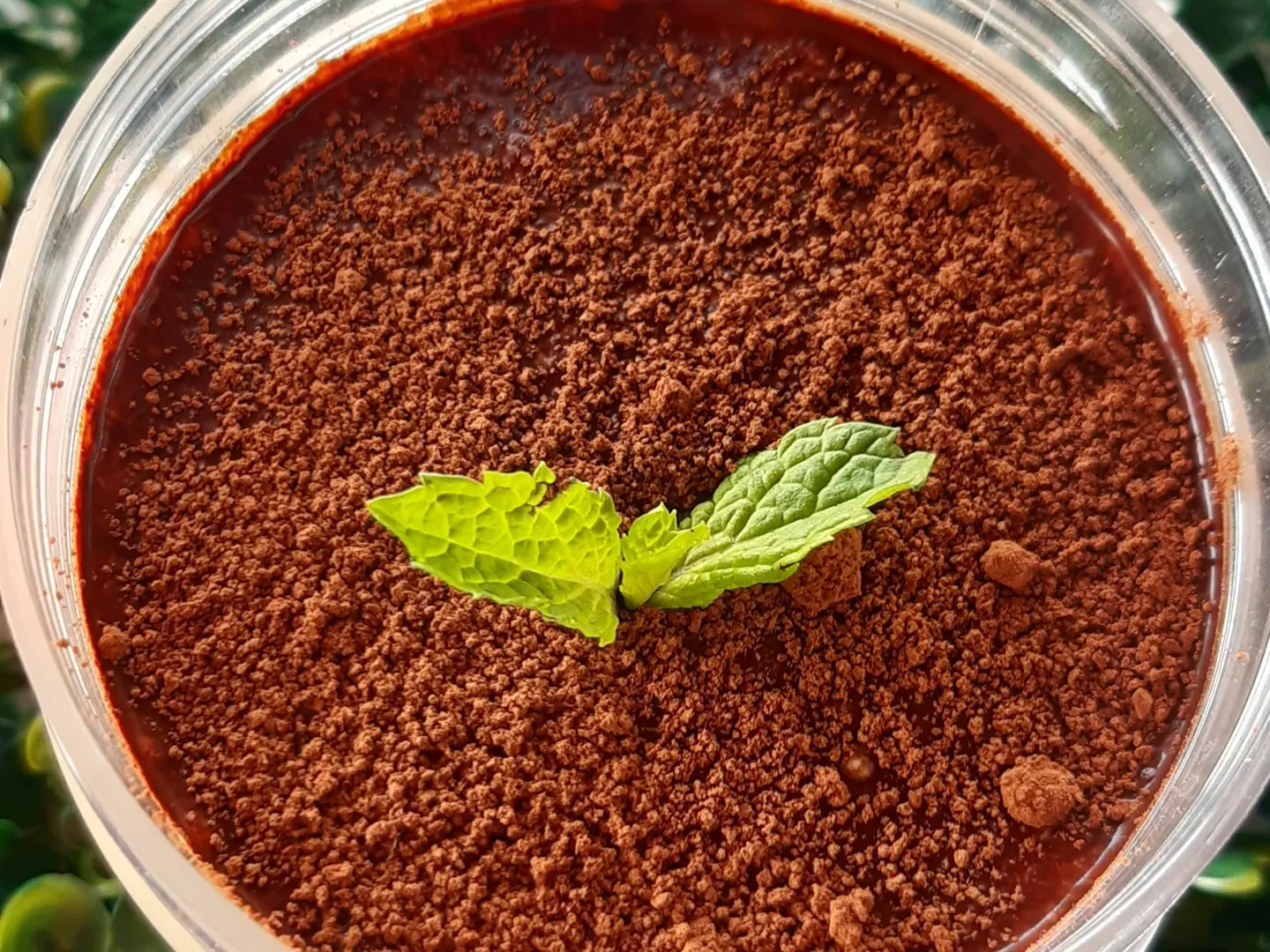 حلا ترامسيو