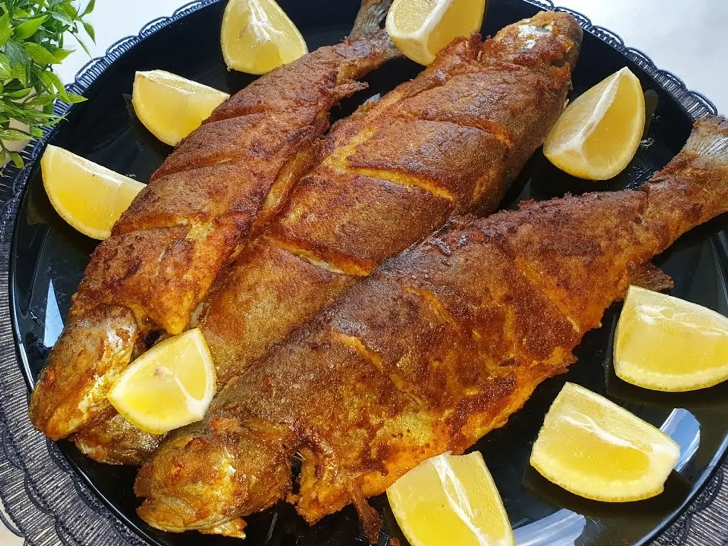 Fried Fish Meal With Rice And Salad