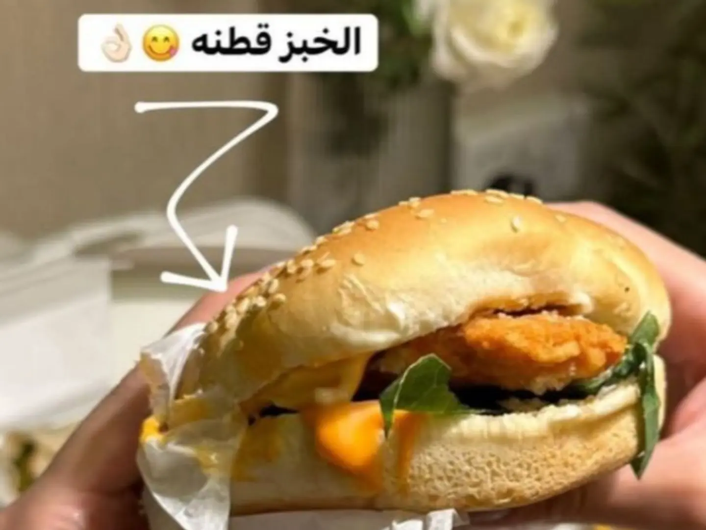 وجبة فيلية دجاج