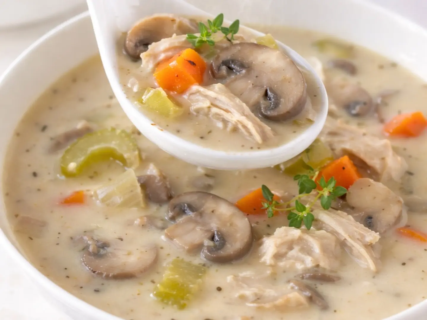 Creamy Mushroom Chicken Soup
