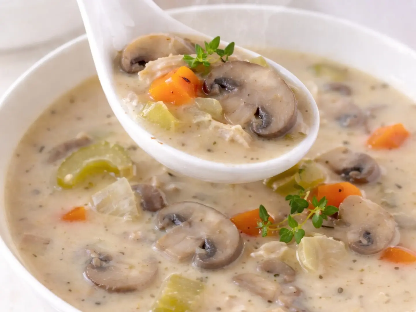 Special Mushroom Veg Soup