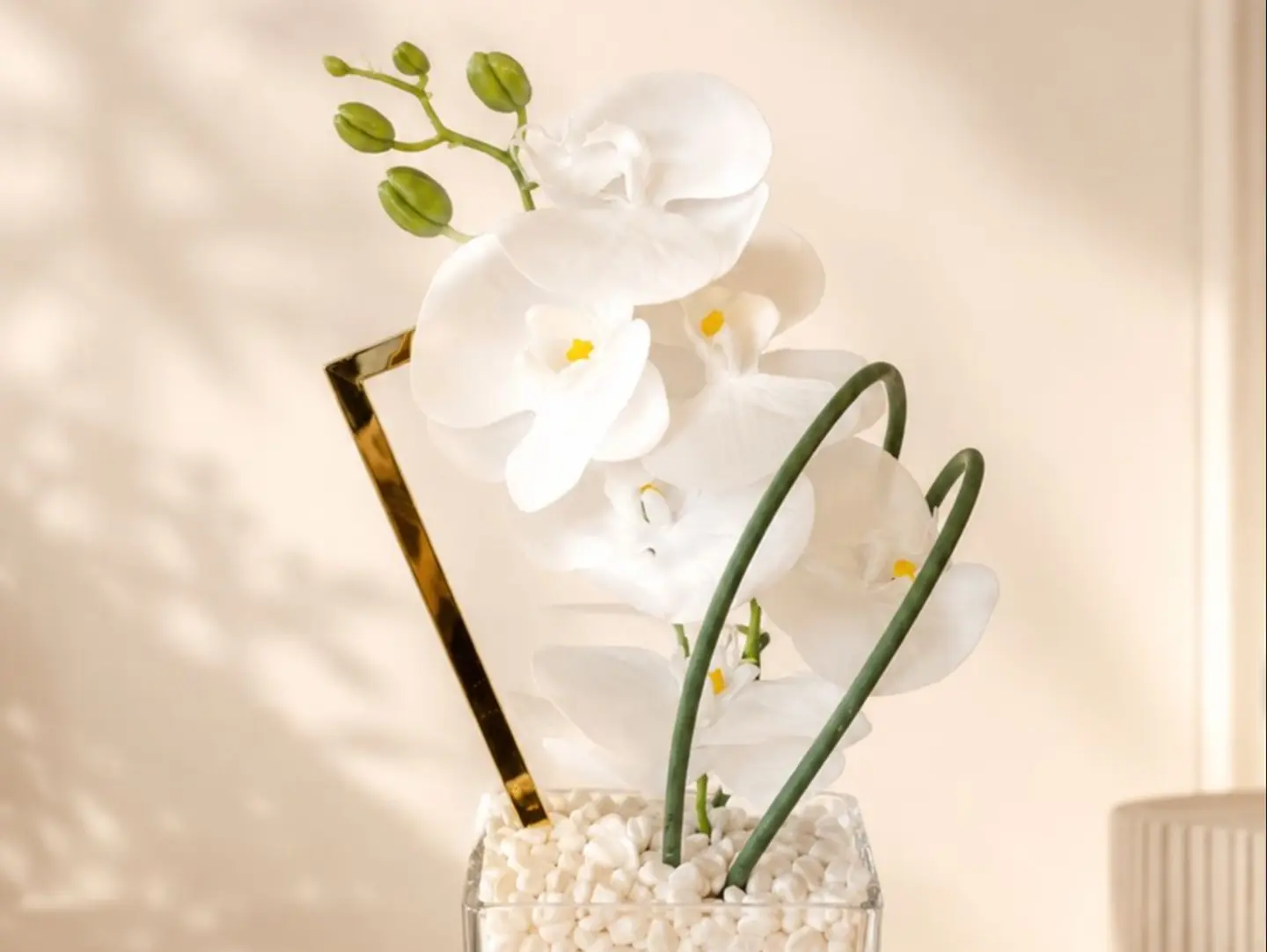 The Orchid's Radiant Vase